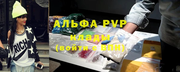 прущие грибы Шали