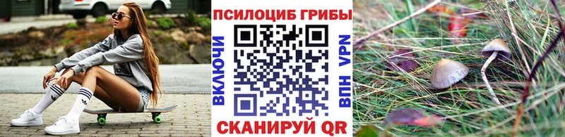 Галлюциногенные грибы Psilocybe  Болгар 